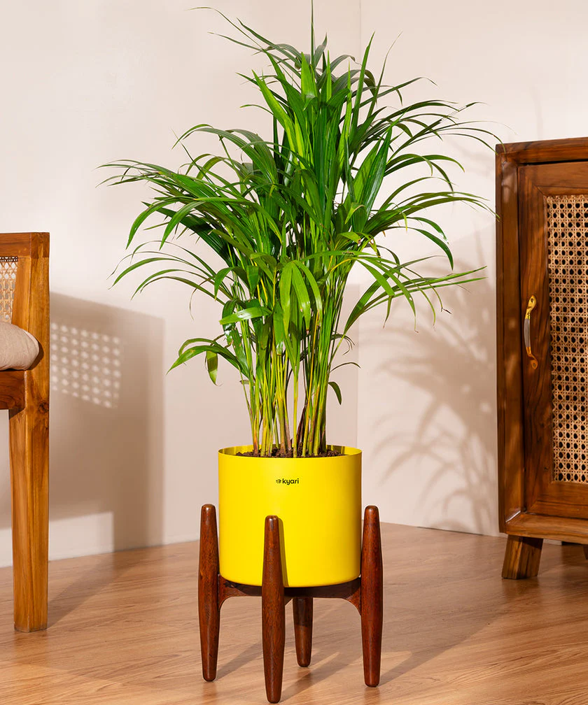 Product image 159