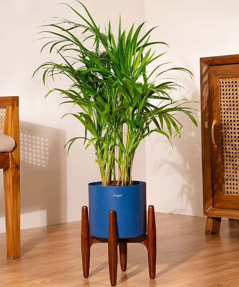 Product image 169