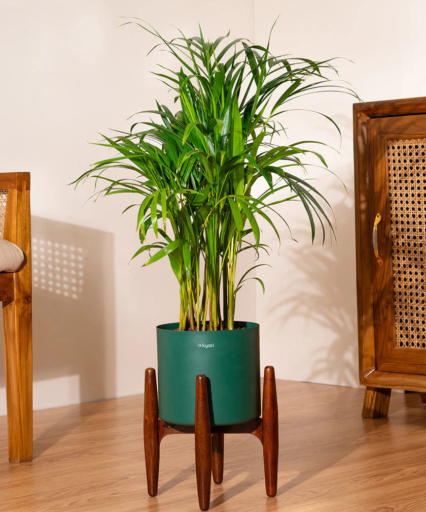 Product image 250