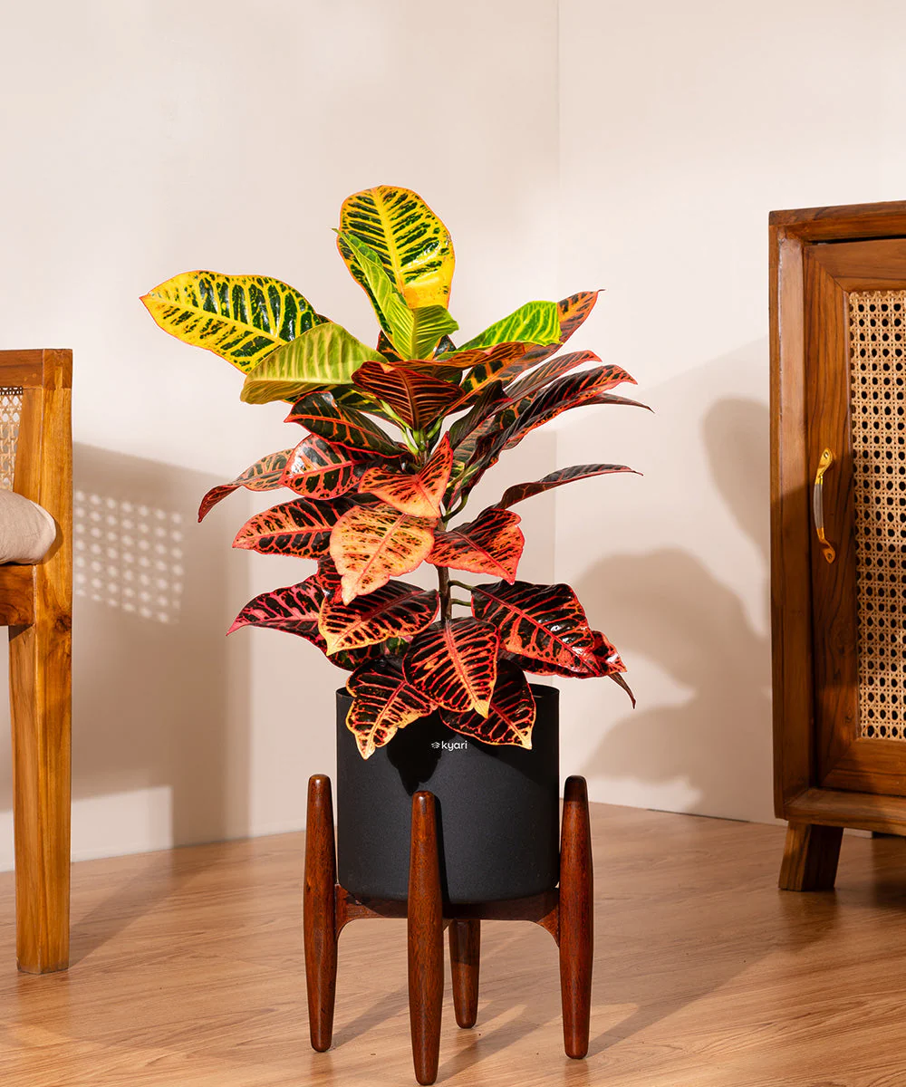 Product image 127