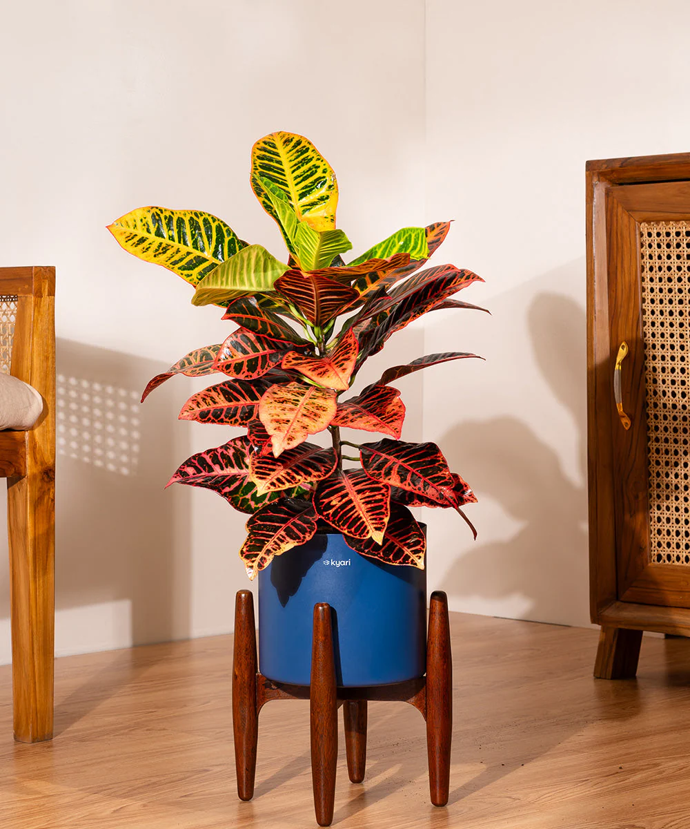 Product image 139