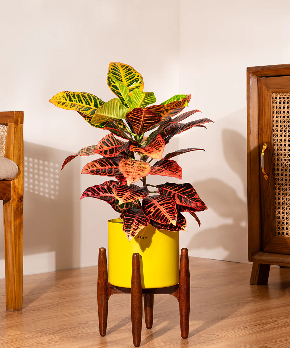 Product image 205