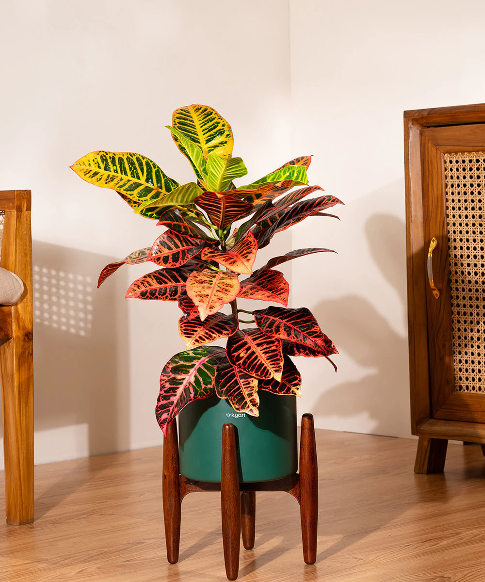Product image 228