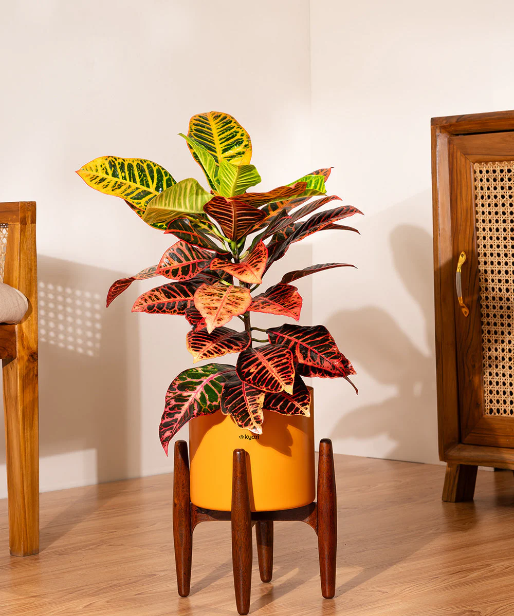 Product image 251