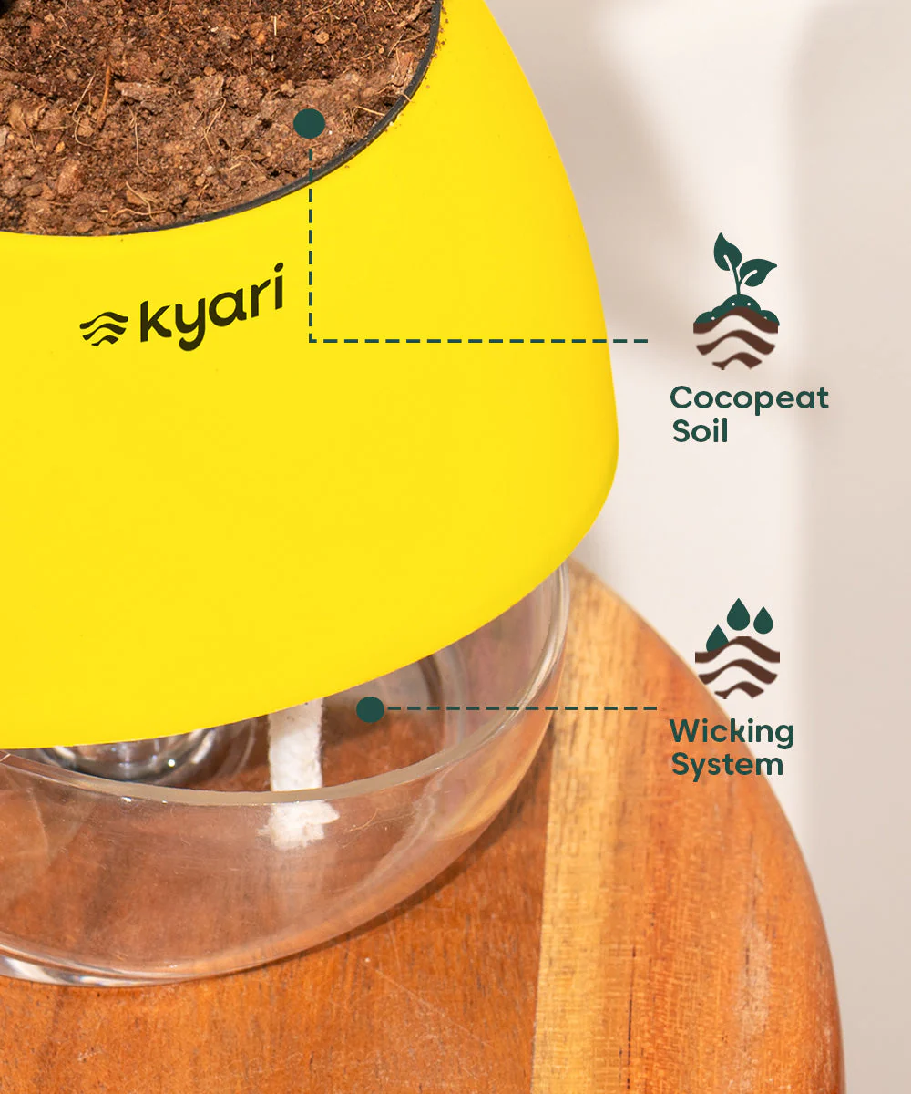 Product image 100