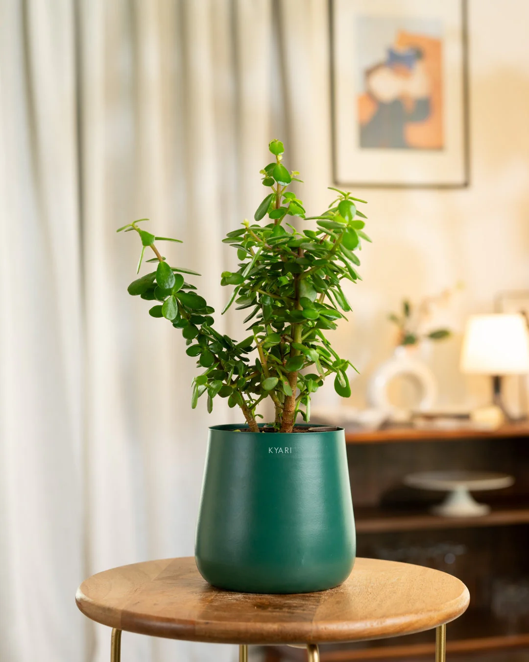 Product image 118