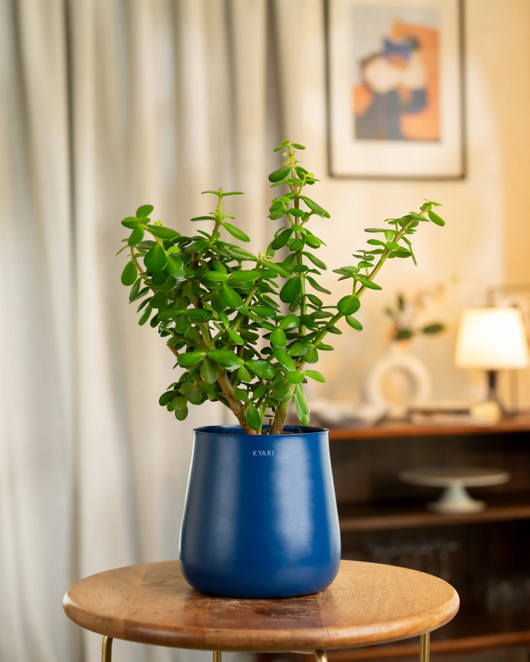 Product image 208