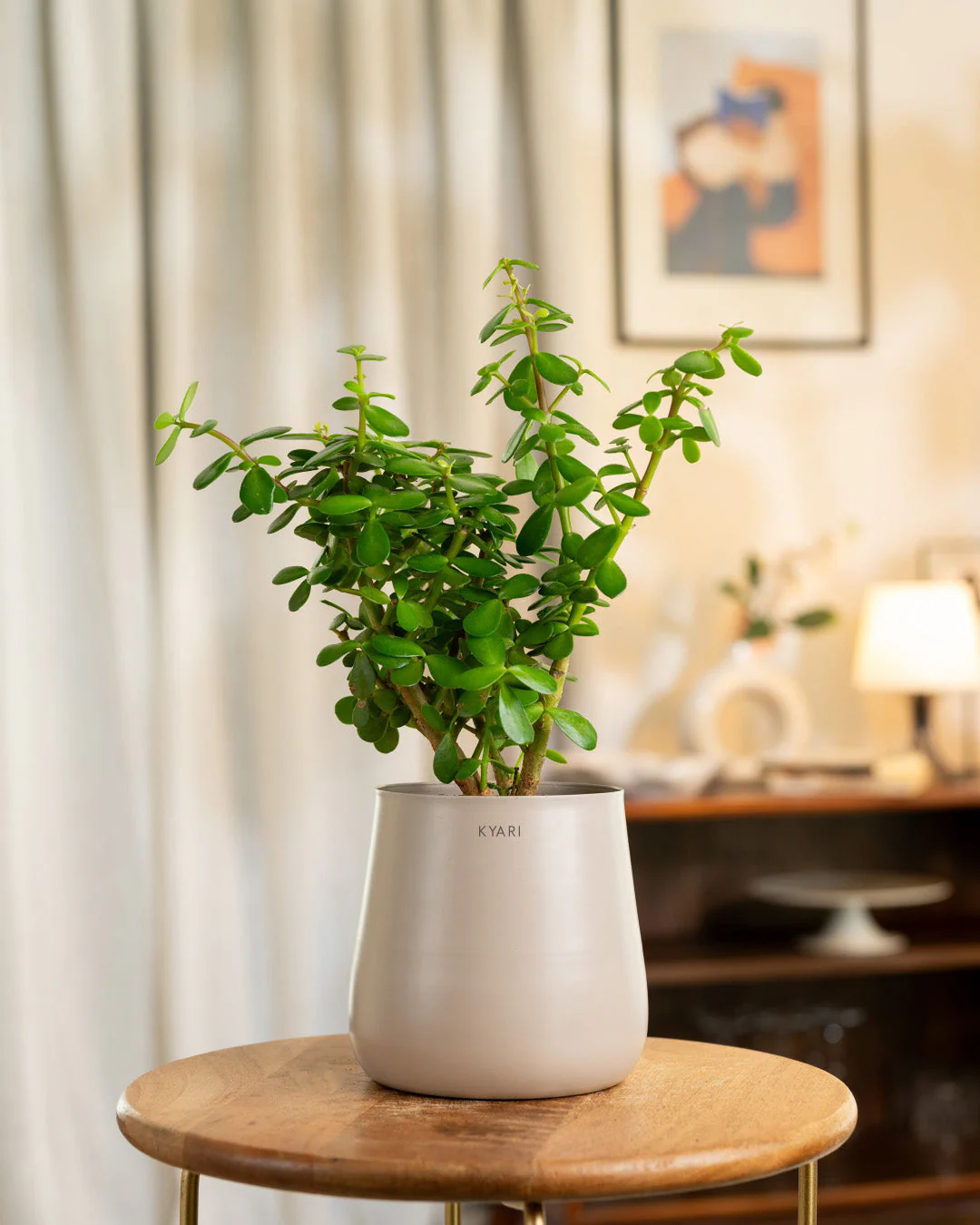 Product image 217