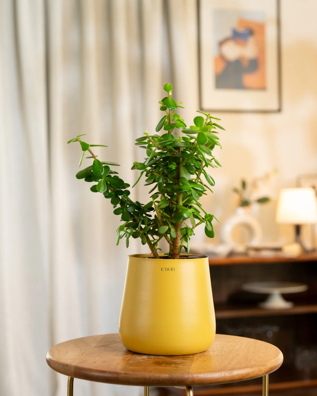 Product image 87
