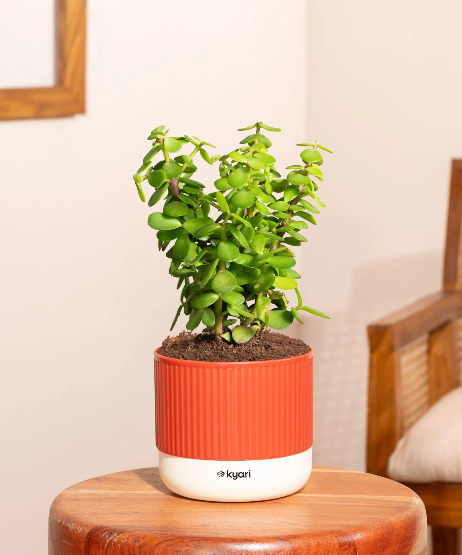 Product image 202