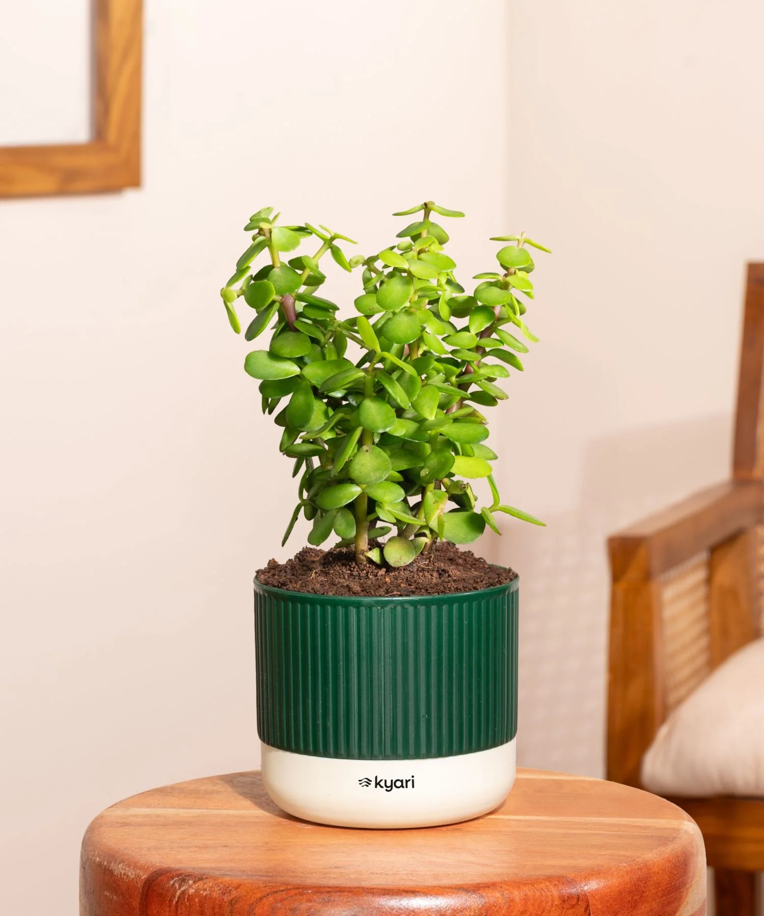 Product image 151