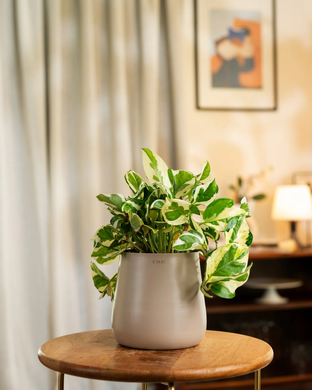Product image 156